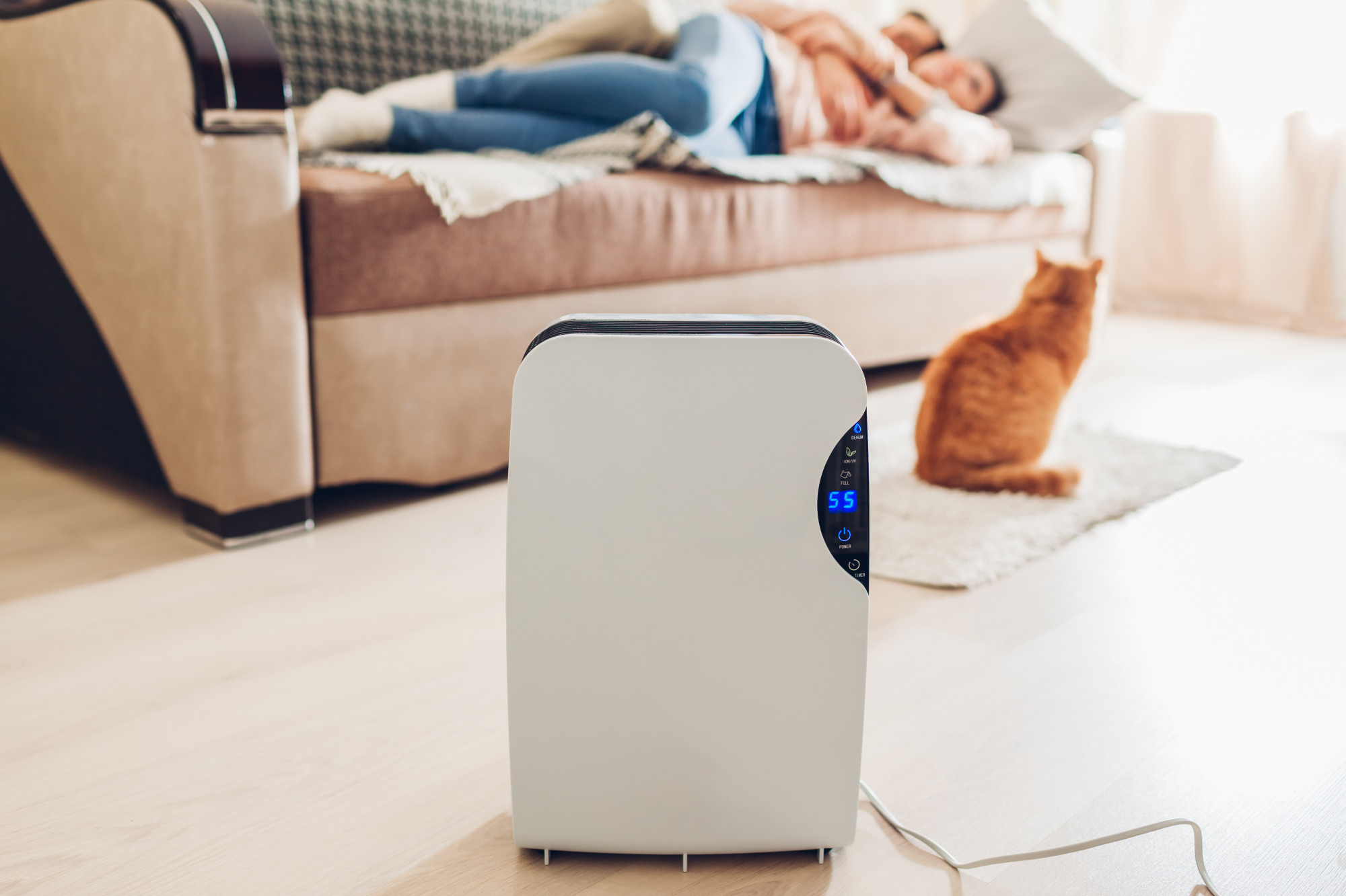How to Improve Your Indoor Air Quality (And Why It Matters)